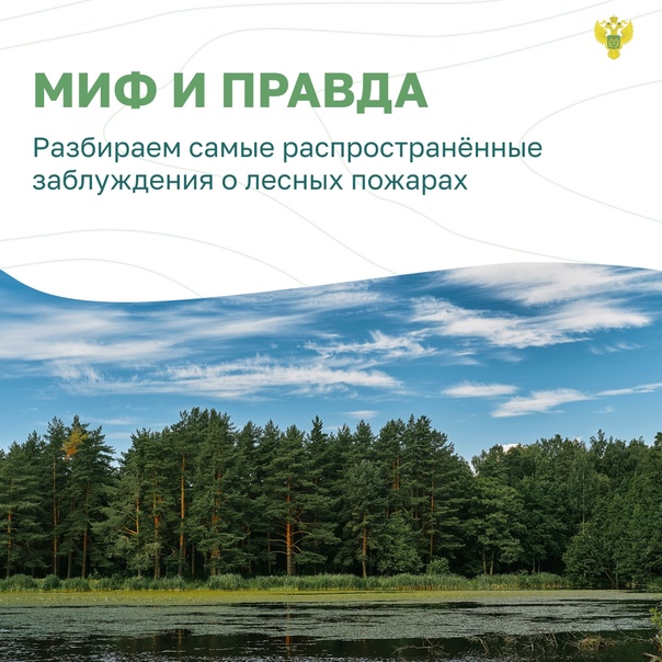 Миф и правда о лесных пожарах